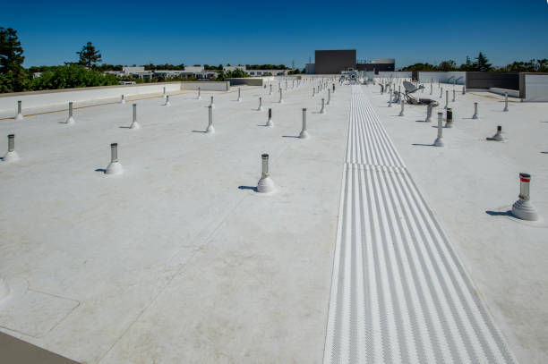 Best Asphalt Shingle Roofing  in Mills, WY